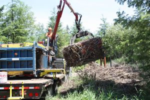 Bighorn Biomass Baler in operation