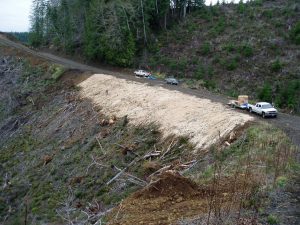 WoodStraw Erosion Control on Slopes