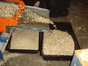 Poplar Crumbles