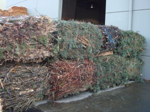Large square bales of woody biomass