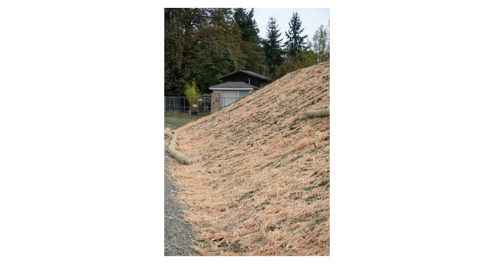 WoodStraw on Renton Riverbed Slope