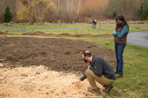 Juanita Bay Park WoodStraw Application