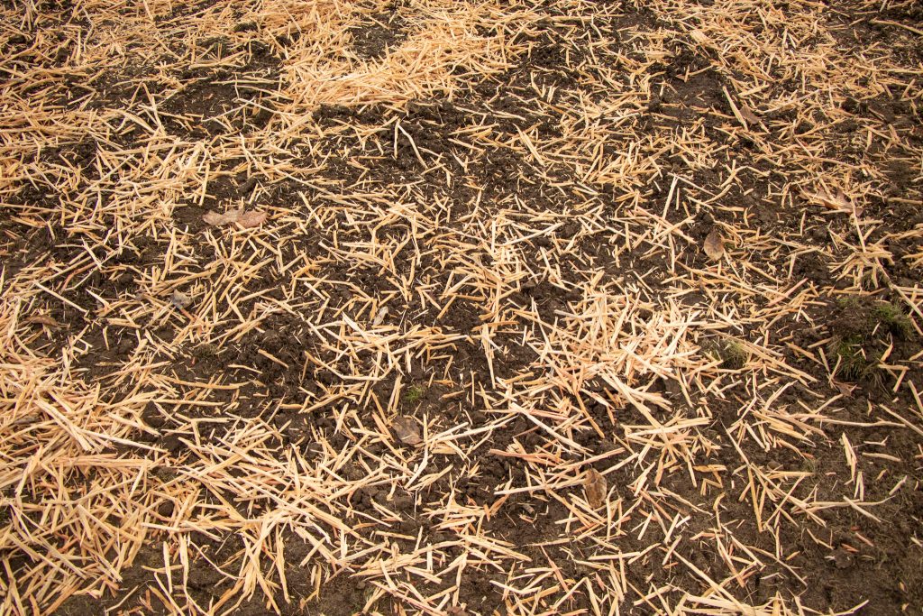 50% soil coverage of WoodStraw